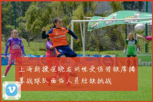 上海新援崔晓龙训练受伤将缺席揭幕战球队面临人员短缺挑战