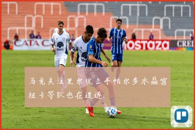 马竞关注里尔攻击手帕尔多水晶宫纽卡等队也在追逐