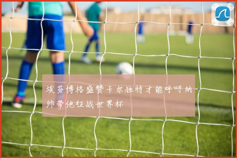 埃芬博格盛赞卡尔独特才能呼吁纳帅带他征战世界杯